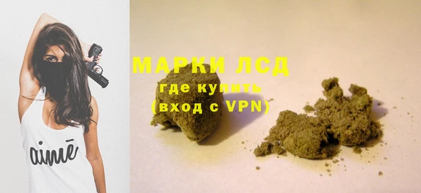 гидра Аркадак