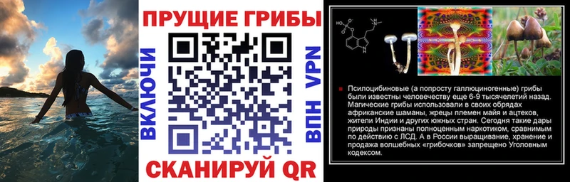 Галлюциногенные грибы прущие грибы  цена   Лысково 